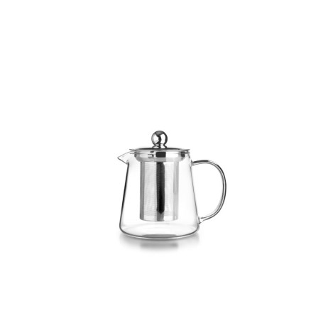Théière en Verre Borosilicate avec Filtre - 450 ml