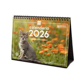 Calendrier de Bureau 2026 avec Images de Chatons - Finocam