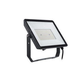 Projecteur LED Extérieur Philips Projectline 100W Blanc 3000K