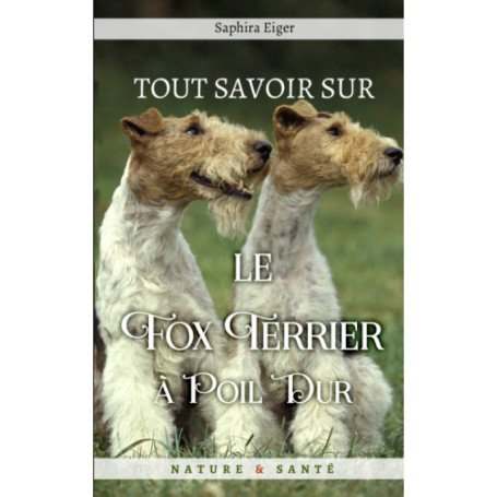 Guide Complet sur le Fox Terrier à Poil Dur