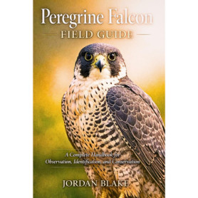 Guide Pratique du Faucon Pèlerin : Observation et Identification