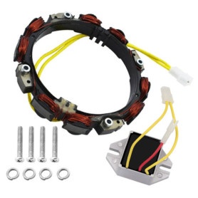 Alternateur Carkio Compatible Briggs & Stratton avec Régulateur de Tension