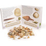 Coffret Éducatif Fossiles et Roches pour Enfants - Kit de Découverte Géologique