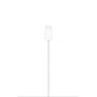 Chargeur MagSafe Apple 2 m - Recharge sans fil rapide pour iPhone