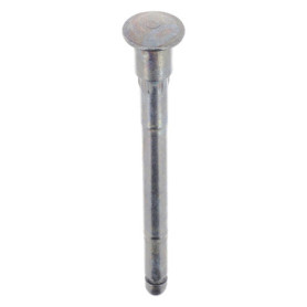 Axe de Charnière de Porte Restagraf pour CITROËN C3 - Sachet de 2