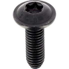 Vis Ronde Large Torx pour Carrosserie - Sachet de 12 - M6-1.00 x 20 mm