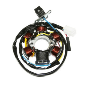 Stator Allumage Moteur pour Motos et Scooters - Compatible Peugeot 50