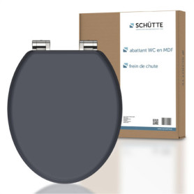 Cuvette de Toilette en Bois avec Frein de Chute - Abattant Durable Gris