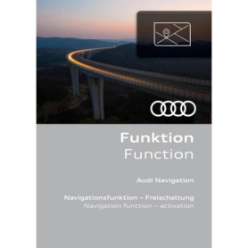 Mise à Niveau Navigation Audi pour Véhicules Préparés