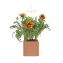 Nano Jardin d'Intérieur Prêt à Pousser en Terracotta