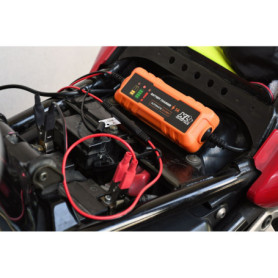 Chargeur de Batterie Intelligent XL Perform Tools - 1A 20W 12V avec Câble Détachable