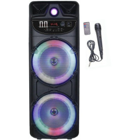 Enceinte Nomade Lumineuse INOVALLEY M30 - 1000W Bluetooth avec Karaoké