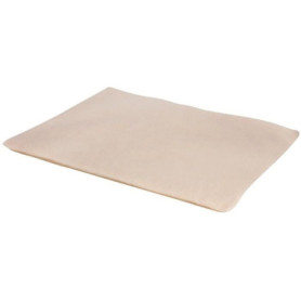 Coussin Chauffant Autochauffant Theo pour Chiens et Chats - 75 x 50 cm - Beige