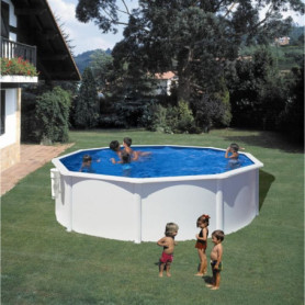 Kit Piscine Hors Sol Acier Ronde Ø480 cm avec Filtre et Échelle