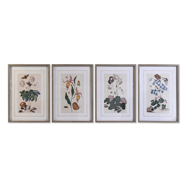 Cadre DKD Home Decor Sapin Verre 50 x 65 x 2,5 cm 50 x 2,5 x 65 cm 50 x 2,5 x 70 cm Fleurs (4 Pièces)