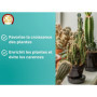 Engrais Spécial Cactus et Plantes Grasses - 250 ml - OR BRUN