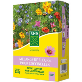 Mélange de Fleurs pour Coccinelles - 15 Variétés Annuelles et 7 Vivaces