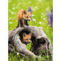 Puzzle Ravensburger Animaux Exotiques 300 XXL - Moment de Détente