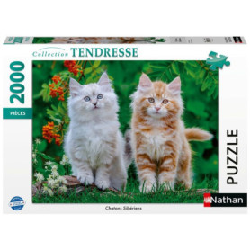 Puzzle 2000 pièces Chatons Sibériens - Collection Tendresse
