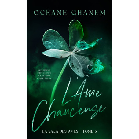 L'Âme Chanceuse - Saga des Âmes Tome 5