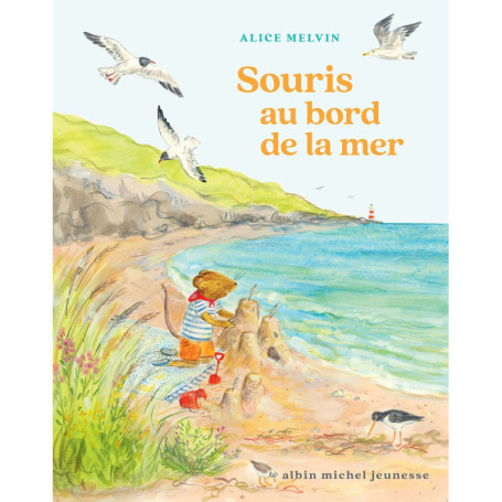 Souris au bord de la mer