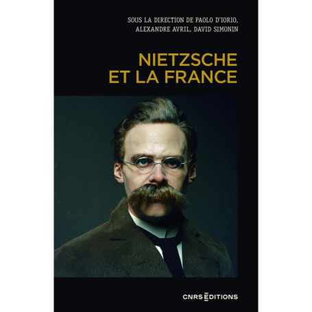 Nietzsche et la France