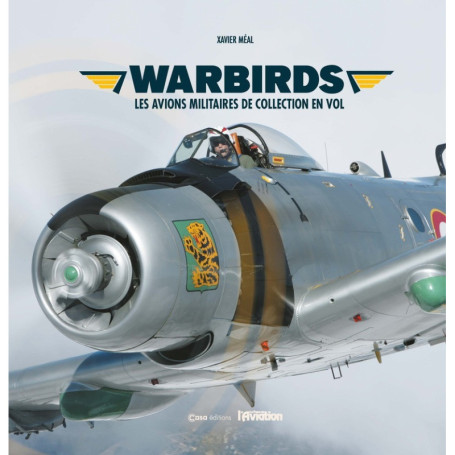 Warbirds - Les avions militaires de collection en vol