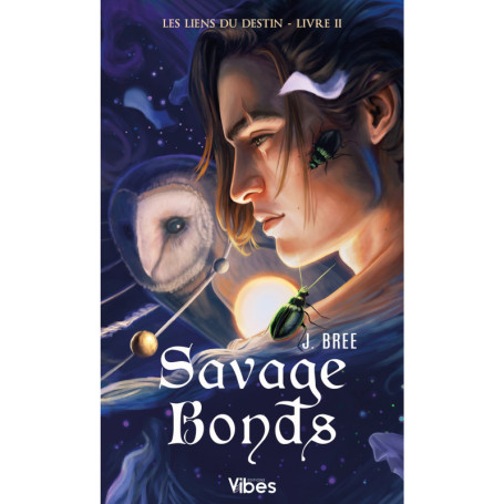 Les liens du destin T2