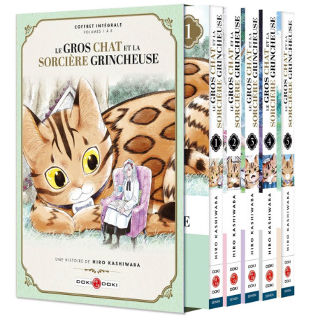 Le Gros Chat et la Sorcière grincheuse - coffret vol. 01 à vol.05