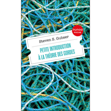 Petite introduction à la théorie des cordes