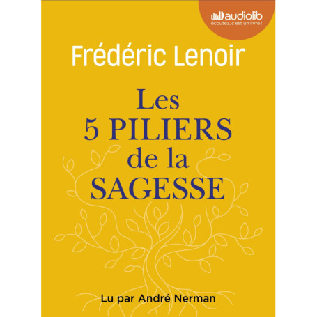 Les 5 Piliers de la sagesse : petit manuel de résistance intérieure