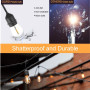 ZOTOYI Guirlande Lumineuse Exterieure 30m, Guirlande Guinguette Exterieur LED avec 30+2 Ampoules S14 en Plastique Incassable, Et