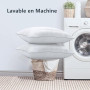 TESQ Oreiller 50x70 cm Lot de 2 Oreillers Confort Moelleux, Qualité Hôtelière de Luxe, Respirant et Hypoallergénique, Idéal pour