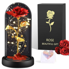 BOLEi Rose Eternelle Cadeau pour Femmes, Rose sous de La Belle et La Bête, Rose Rouge avec LED, Cadeau Saint Valentin pour Femme