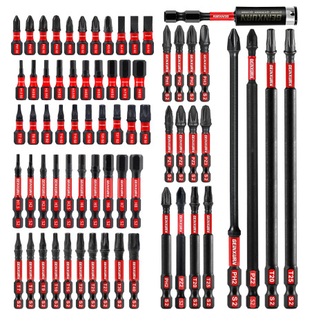 Geinxurn Professional 68 Pièces Embouts de Vissage aux Chocs (PH-, TX-, PZ-, SL-, Hex), Embout Magnétique pour Visseuse Tournevi