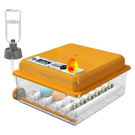 Chalixion Couveuse Oeuf Automatique avec Contrôle de Température Retournement Automatique pour 16 Oeufs, Incubateur Oeuf rouleau
