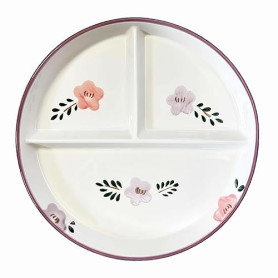 DouYuan Assiette 3 Compartiments Régime Ceramique, Assiette Reequilibrage Alimentaire Porcelaine, Assiettes Divisées pour La Per