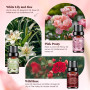 HANOLLY Huile Essentielle Fleurs 6x 10ML, Huiles Essentielles Naturelle Pour Diffuseur, Massage, DIY Bougie,Lys Blanc & Aloès, P