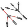 DeleyCON Câble Solaire en Y 3/1 - Adaptateur PV4 / T-Adaptateur IP68 1500V (M/FFF, F/MMM) Pour Installation Solaire, Panel, Syst