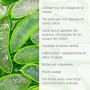 Gel à L’Aloe Vera PraNaturals 200ml Apaisant naturel et hydratant nourrissant (Paquet de 1)