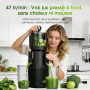 WETIE Extracteur de Jus de Fruits et Légumes Entiers, Extracteurs lents avec Goulotte XXL 120mm, sans BPA, 99% de Rendement, Fac