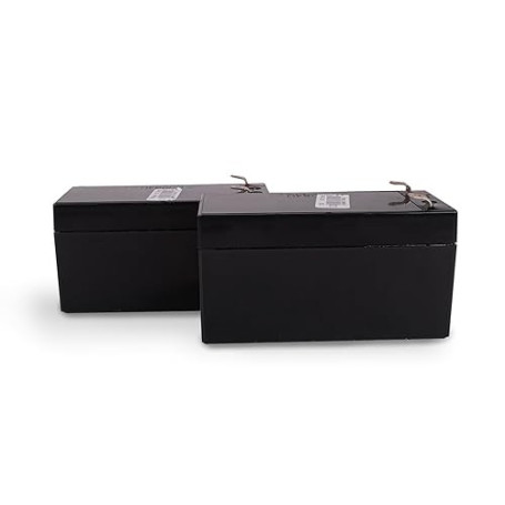 SCS Sentinel, AAM0127, Kit de 2 Batteries de Secours, 2 / 24V, 30 cm, pour automatisme de Portail prennent Le Relais en Cas de C