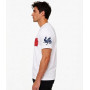 Tee Shirt Drapeau Français, T-Shirt Homme Drapeau Coq Gaulois Vintage, Maillot Supporter France Football Coupe du Monde 2026