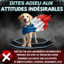 PAWPRO Collier de Dressage, Portée de 3km, Mode Lumière Nocturne, Guide de Dressage Inclus, 124 Niveaux d’Entraînement, BIP Vibr