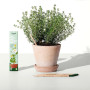 SproutWorld Happy Bee Edition | Crayon en graphite à planter | Capsule de graines d’ Herbes, Légumes & Fleurs pour abeilles, | B