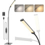 iFalarila Lampadaire LED 10W 3 Couleurs 10 Luminosités Col de Cygne pour Salon Chambre Bureau