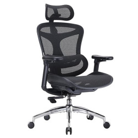 SIHOO Doro C300 Chaise de Bureau Ergonomique avec Accoudoirs Ultra Doux en 3D, Soutien Lombaire Dynamique pour Chaise Bureau à D