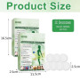 2 Boîtes Moringa Patchs Minceurs 10 en 1, Patch Nano Microneedle Minceur, Patch Minceur, Ingrédients Naturels, Patch Corporel Ul