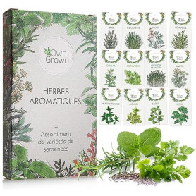 Kit de graines d‘Herbes aromatiques prêt à Pousser OwnGrown, 12 épices et aromates à Planter en Un kit Pratique, Naturelles pour