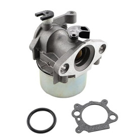 MCHNIC Carburateur avec joint pour tondeuse Briggs & Stratton 799871 799866 796707 794304 790845 128L05 128L07 128M02 12H800 625